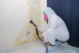 Why You Should Choose Our Mold Remediation Services in Wewahitchka, FL